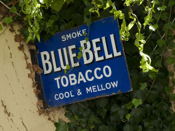 Close-up of information sign on plant