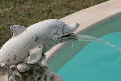 Close-up of statue on water