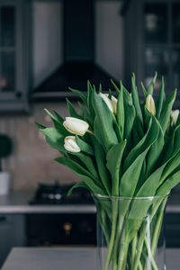 Close-up of rose plant in vase