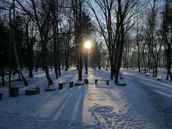 Snow covered trees on field against sky during winter