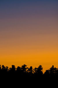 Silhouette trees against orange sky