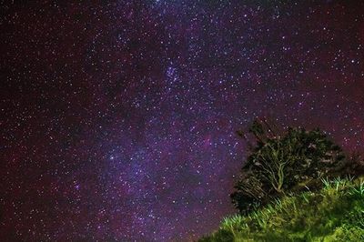Low angle view of starry sky