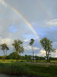 Scenic view of rainbow over field against sky