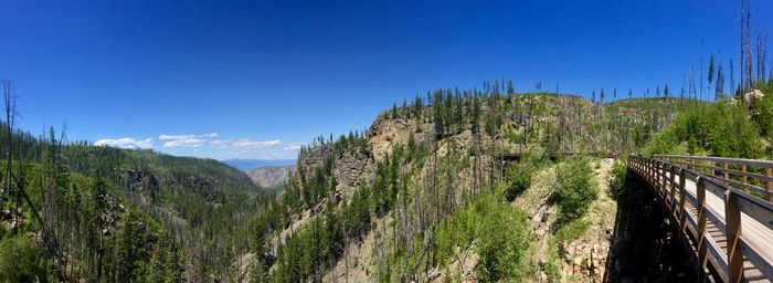 Scenic view of landscape against clear blue sky