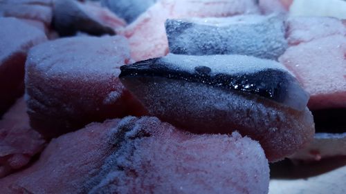 Close-up of iced frozen raw fish 