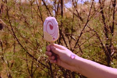 Cropped image of hand holding cigarette