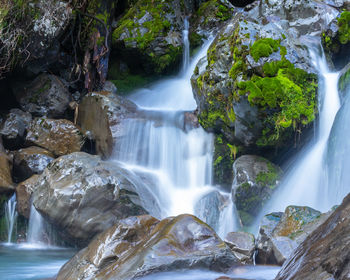 View of waterfall in forest