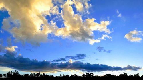 Low angle view of silhouette trees against sky