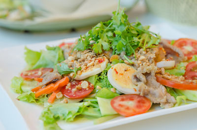 Close-up of salad served in plate