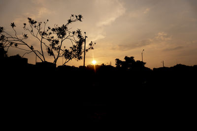 Silhouette trees on field against sky at sunset