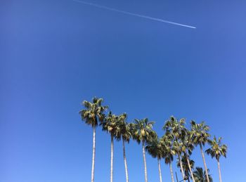 Low angle view of palm tree against clear blue sky