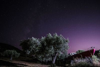 Low angle view of trees against sky at night