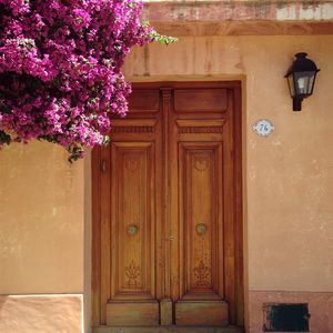 Closed door of house