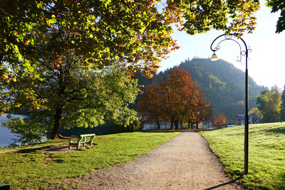 Street amidst trees and plants during autumn