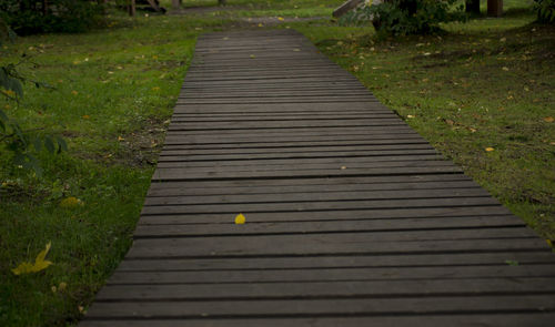 High angle view of boardwalk in park