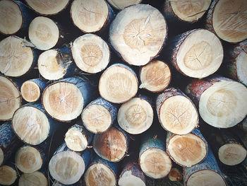 Full frame shot of logs in forest
