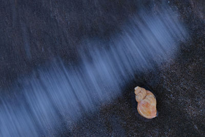 Blurred motion of rock on sea shore