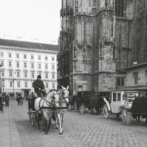 Group of people on zebra crossing in city