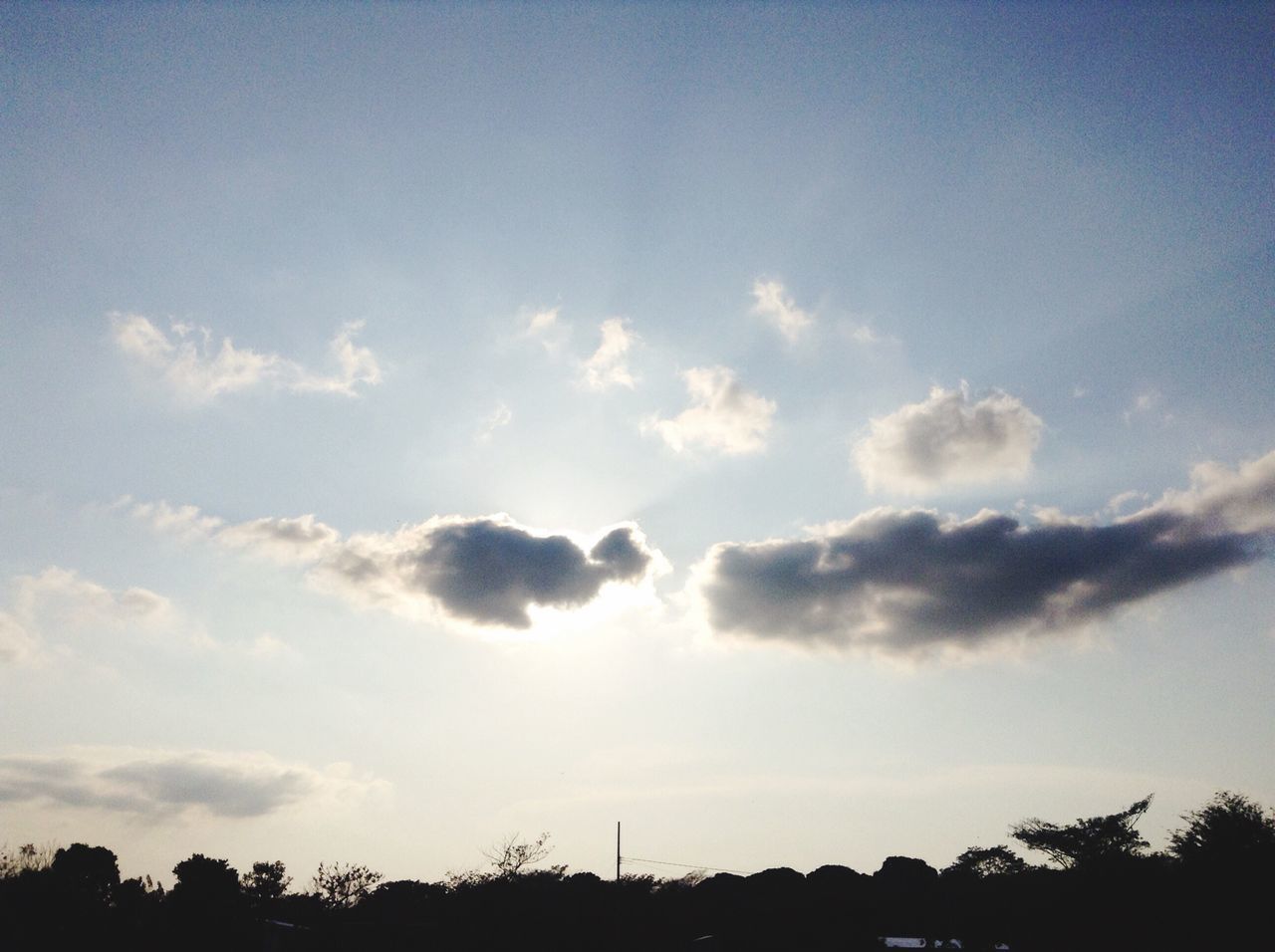 sky, nature, tree, low angle view, cloud - sky, beauty in nature, no people, outdoors, treetop, scenics, day