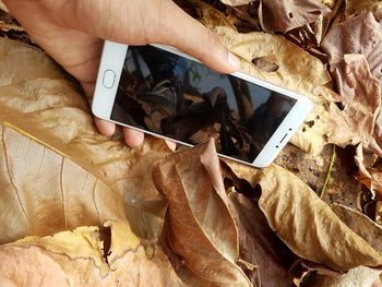 Close-up of hand holding mobile phone