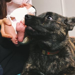 Close-up of woman with dog