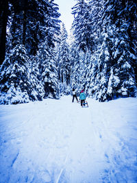 People on snow covered land against trees