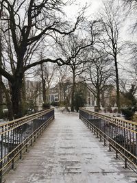 Footbridge along bare trees in winter