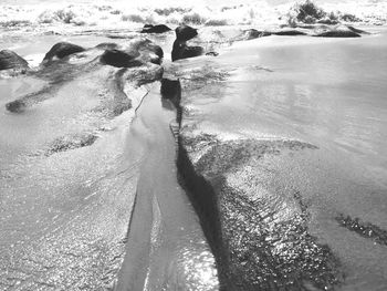 Close-up of wet rocks at beach during sunny day