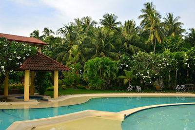 View of swimming pool against trees