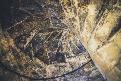 Close-up of rock
