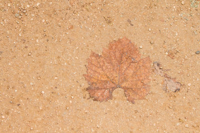 Sand on beach