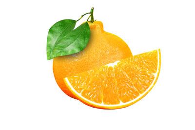 Close-up of orange fruit against white background