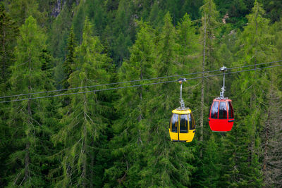 Overhead cable car in forest