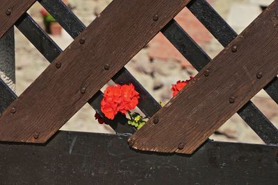 High angle view of red umbrella on wooden table