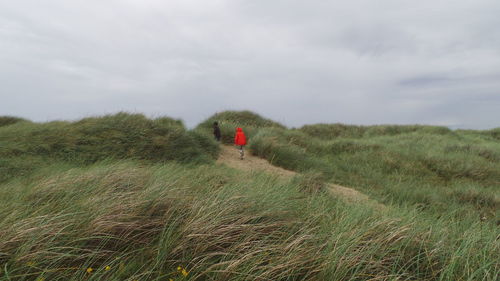 Rear view of people walking amidst grassy field against sky