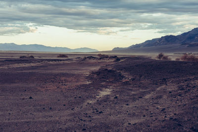 Scenic view of desert against sky