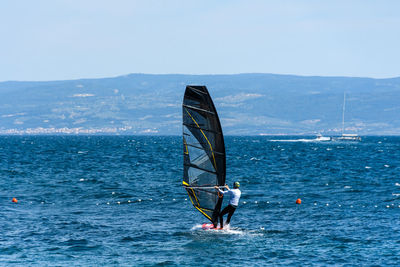 Rear view of man windsurfing on blue sea