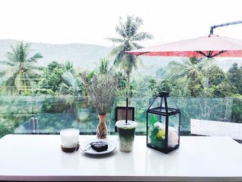 Potted plants on table by window