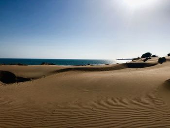 Scenic view of beach against clear sky