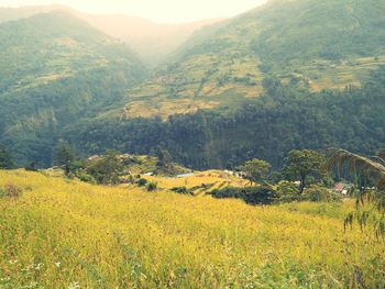 Scenic view of field against mountains