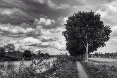 Scenic view of landscape against cloudy sky