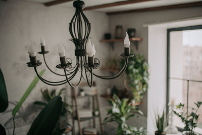Luxury interior of big bathroom at modern african style with oval bathtub in natural lighting