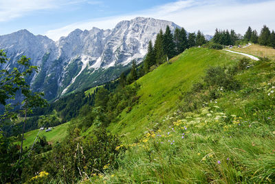 Scenic view of landscape against sky