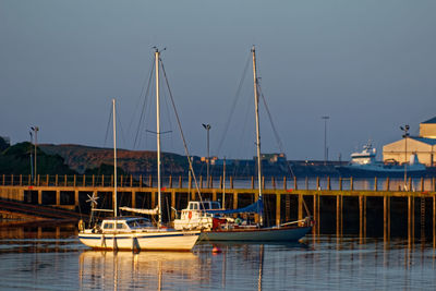 Sailboats moored in harbor