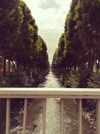 River amidst trees in forest against sky