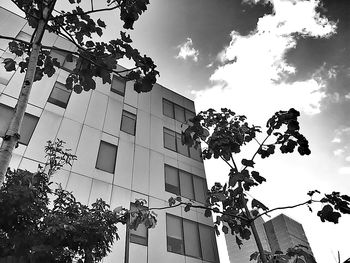 Low angle view of building against sky