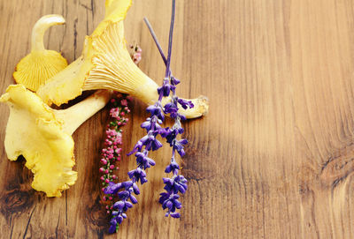 Close-up of mushrooms on table