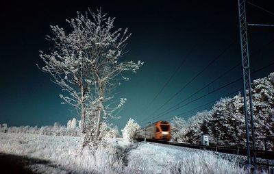 Low angle view of bare trees against sky at night