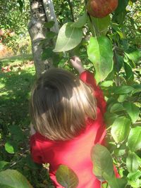 Rear view of girl standing on tree
