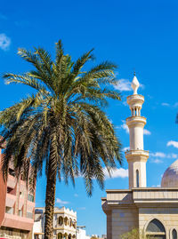 Low angle view of palm trees against blue sky